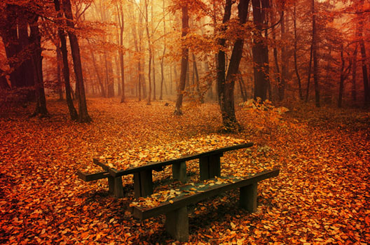 Simply Autumn II.